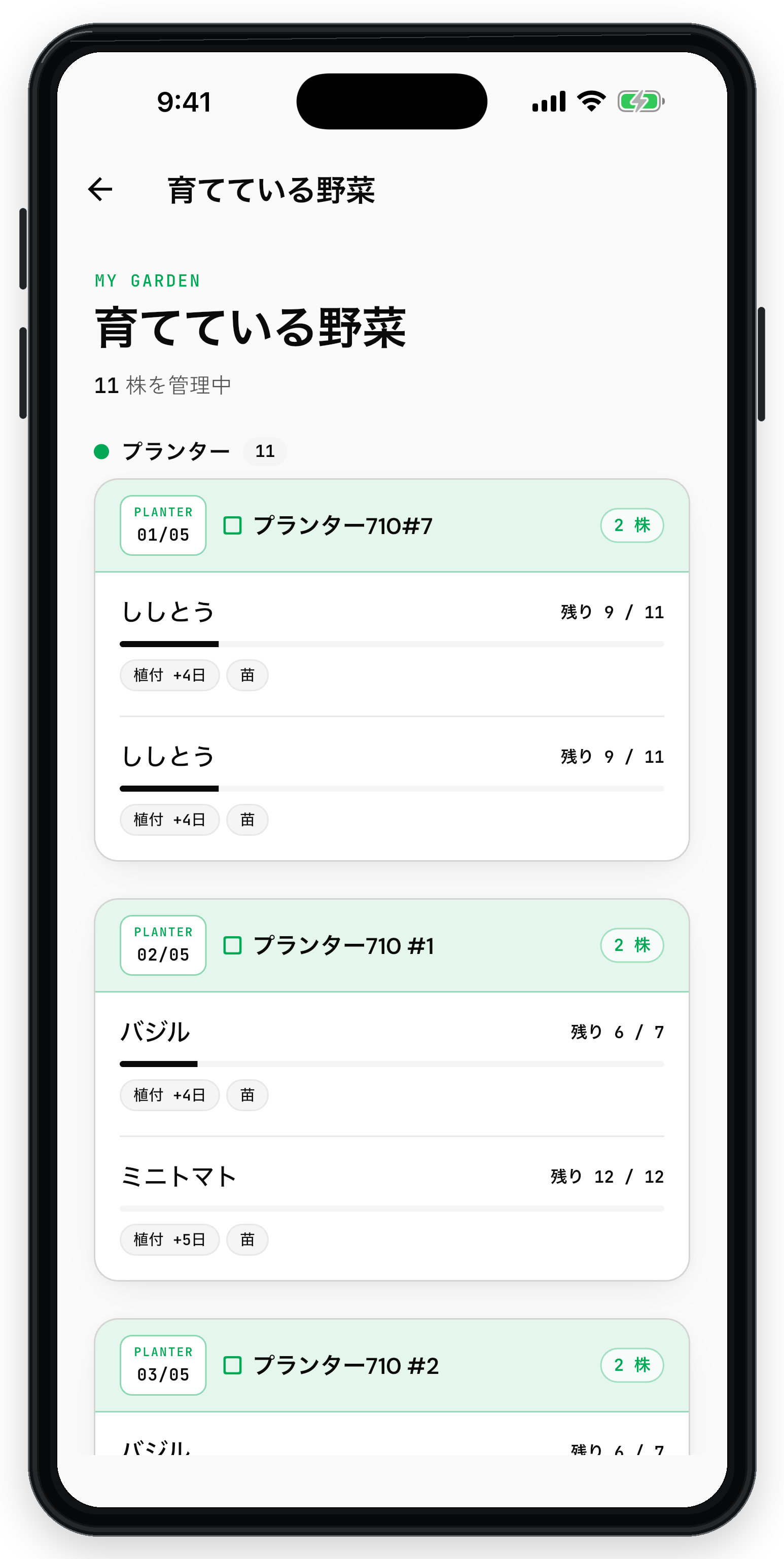 育てている野菜